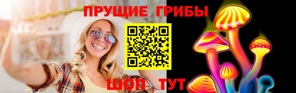 Псилоцибиновые грибы прущие грибы Гатчина